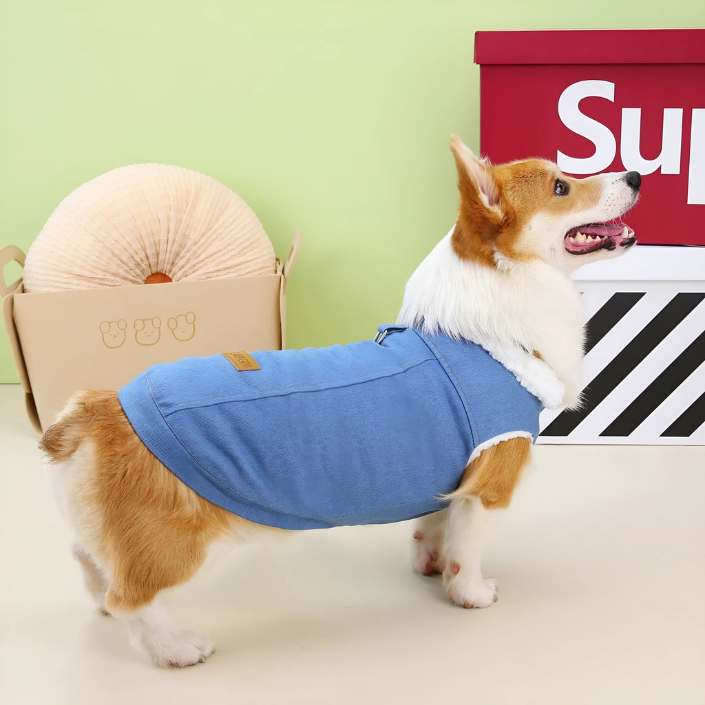 Corgi wearing denim cotton dog coat in dark blue with button-up front