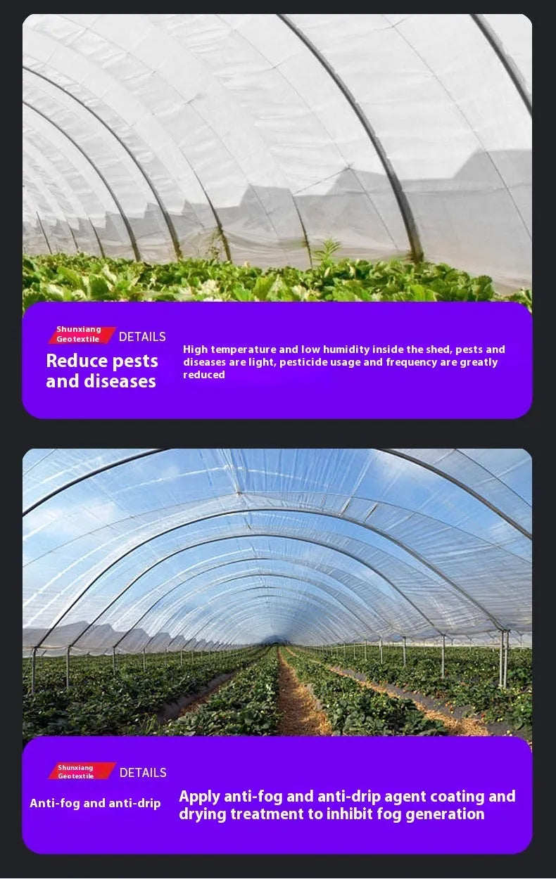 4x8 metre plastic film for vegetable shed cold proofing in 8 silk or 15 silk thickness