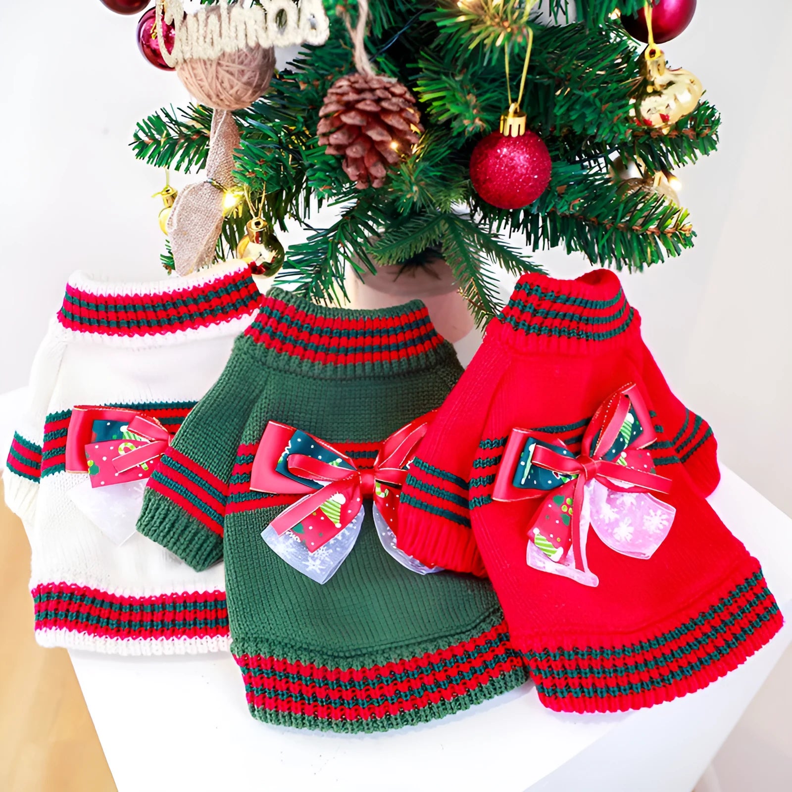 Red Christmas knit dog sweater on a small dog, showing festive pattern and snug fit.