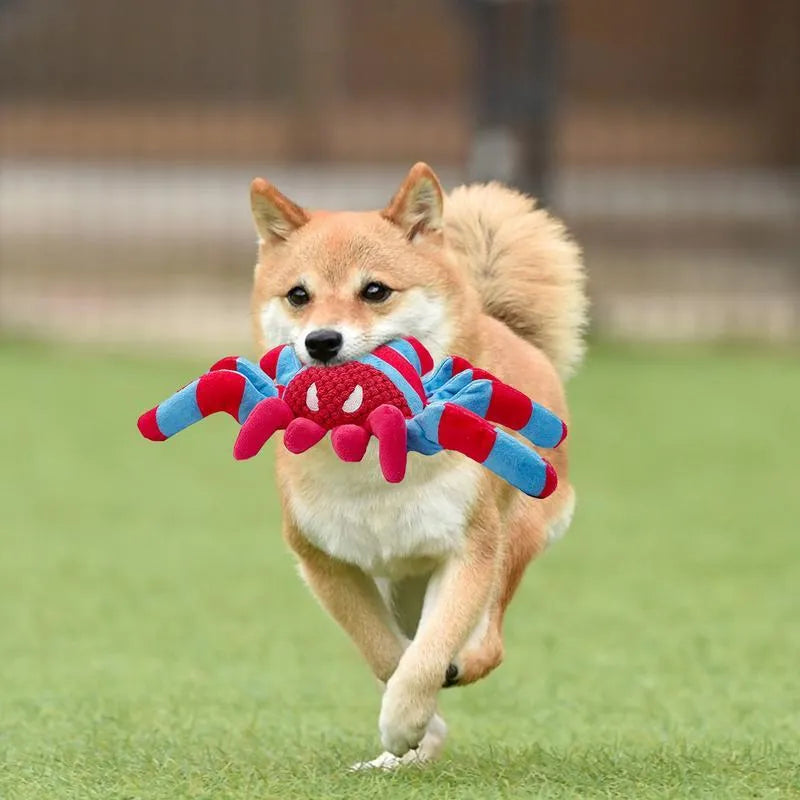 Red bite-resistant teddy dog toy for tooth cleaning interactive play