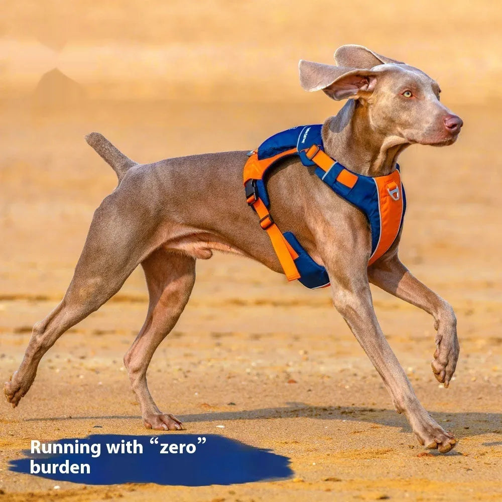 Orange blue nylon dog chest strap vest with single chest back design and adjustable straps