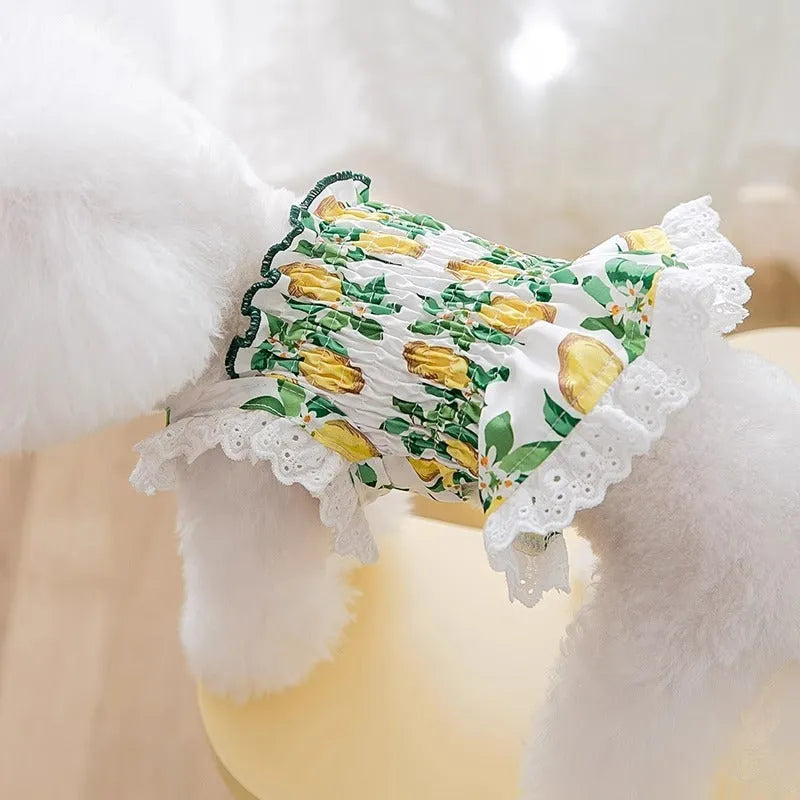 Rock yellow lemon dog strap skirt with princess style polyester fabric on small dog