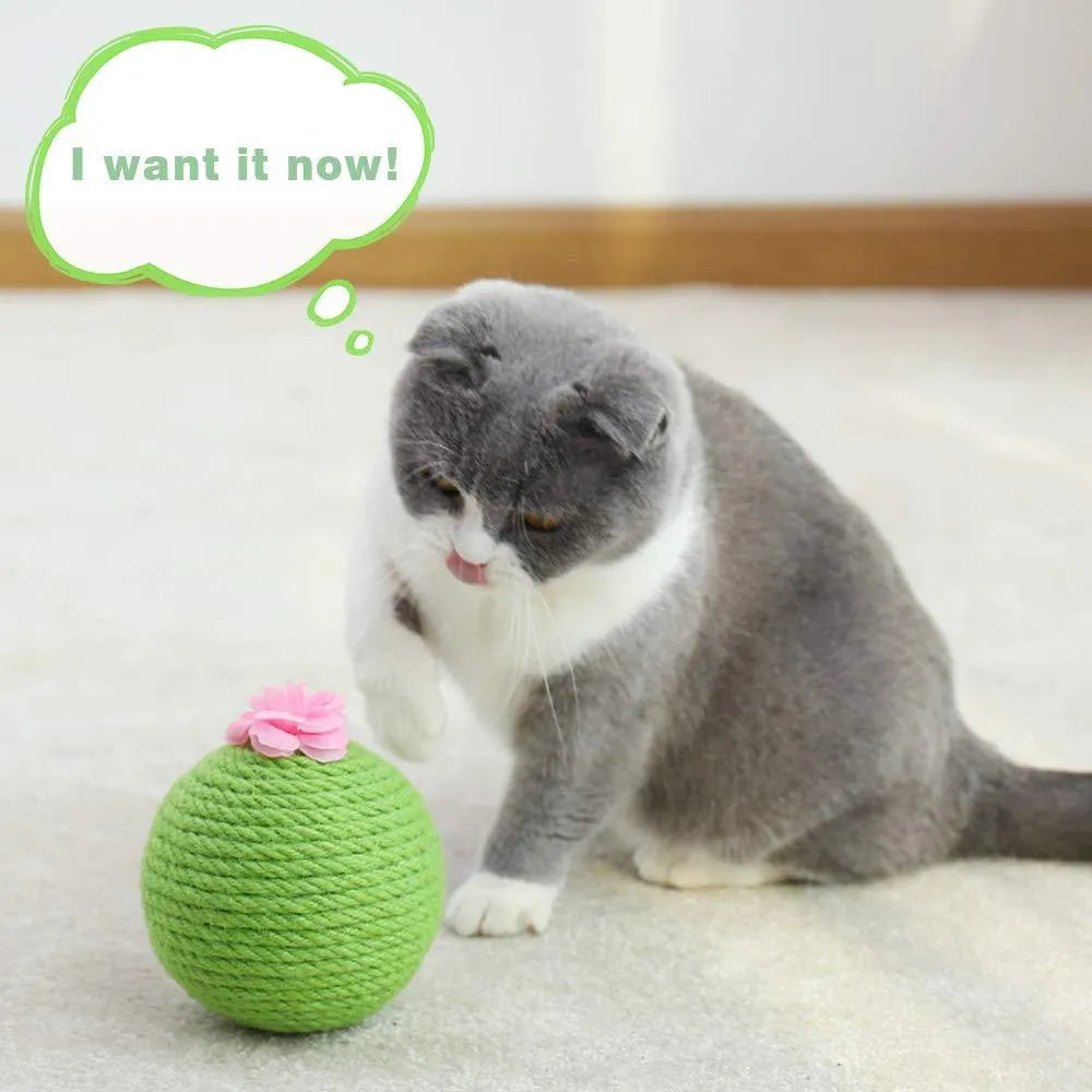 Green interactive tumbler cactus cat scratcher with natural sisal and rolling ball for indoor play