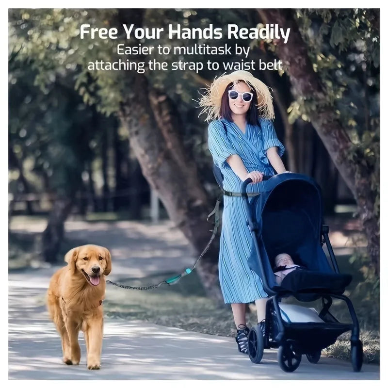 Hands-free dog leash with durable nylon construction and adjustable black waist belt for running and walking