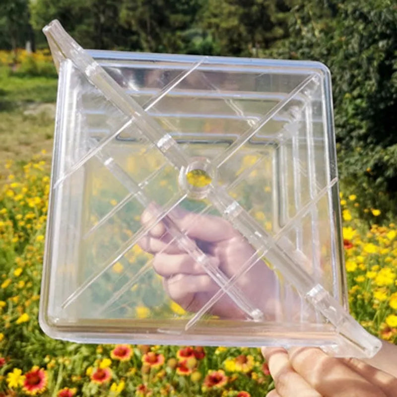 Square watermelon growth mold 13X13X13cm made from high temperature resistant plastic for shaping melons and fruits