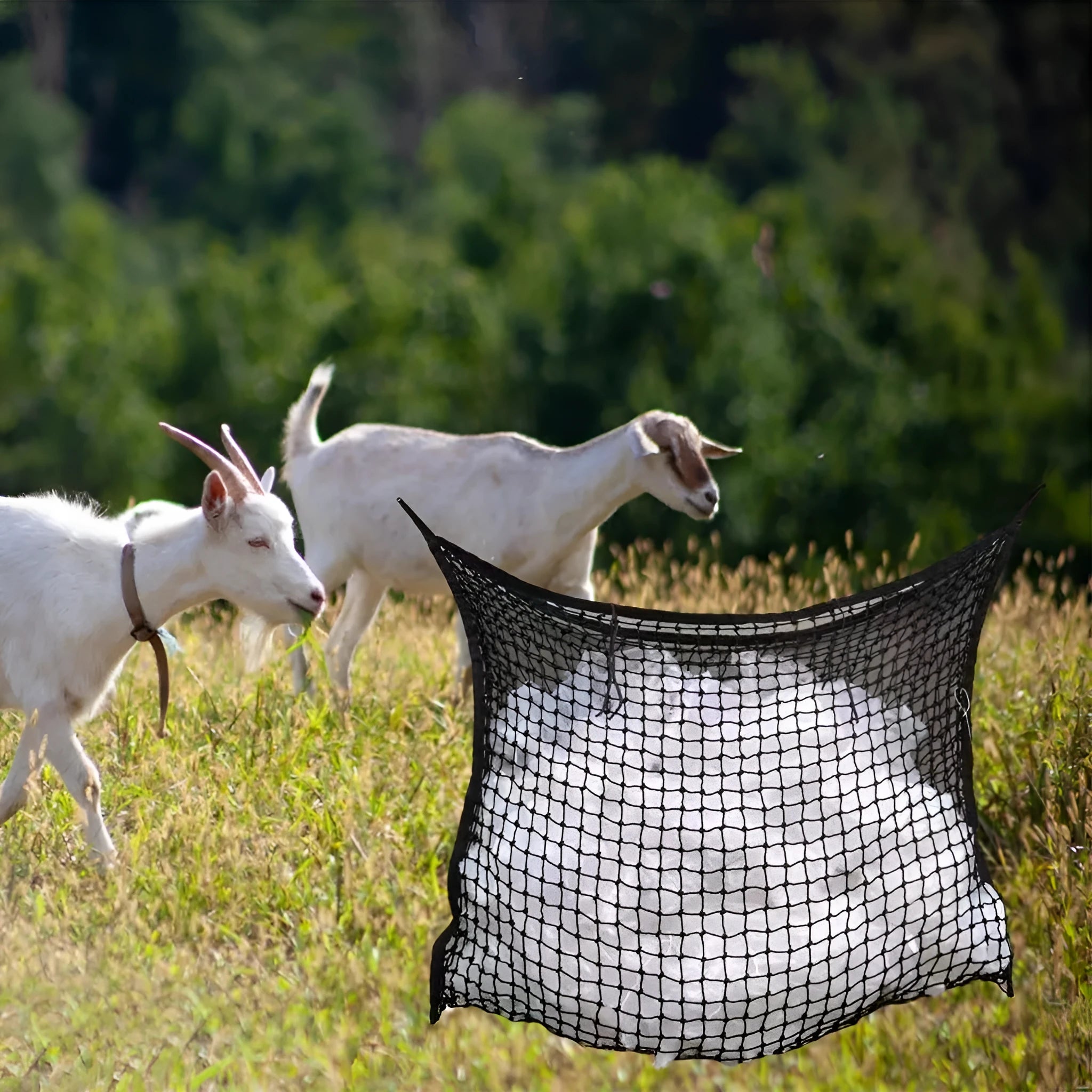 Woven PE rope hanging feeding bag for horses and livestock in black or white