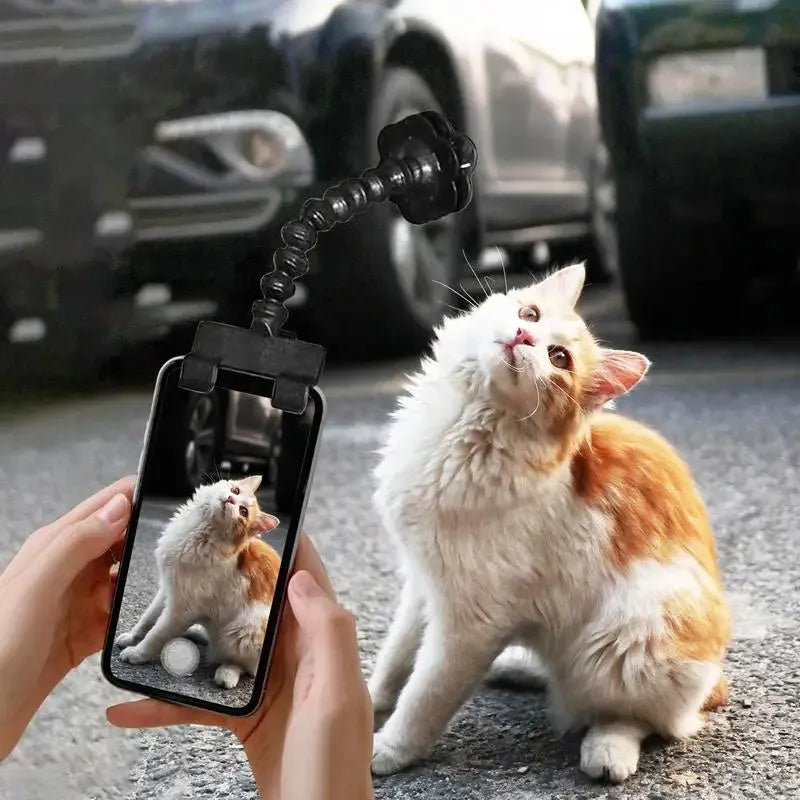 Black pet photography clip with treat holder and phone mount on white background