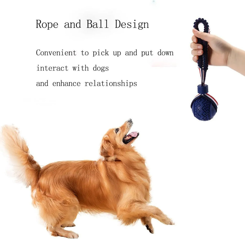 Blue and red durable rubber dog ball attached to a rope for tug-of-war and dental care.