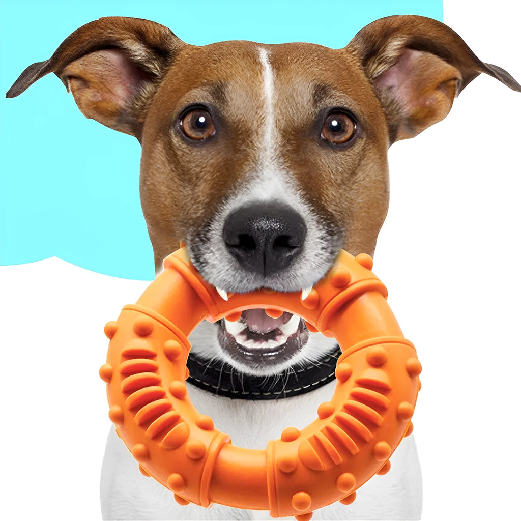 Blue orange red dog fetch stick toy lightweight hollow chew toy 13cm length