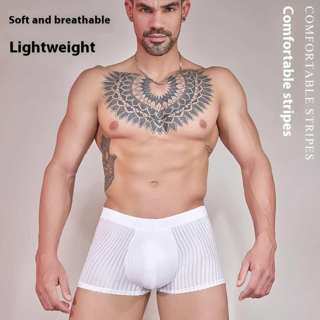 Men's striped underwear briefs in thin transparent nylon fabric showing black white dark grey colour options
