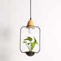 LED plant chandelier with three glass lampshades in black finish for living room ceiling