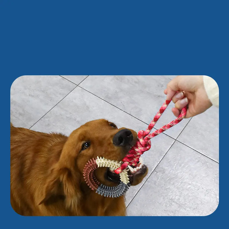 Blue braided rope dog chew toy with knots, measuring 43cm long