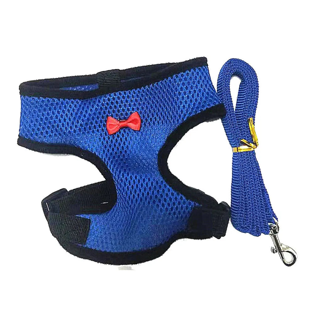 Pet chicken duck poultry vest harness with matching collar bow and 110cm traction rope on a bird
