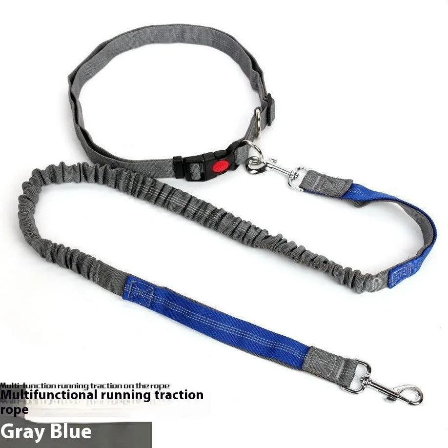 Grey and blue nylon dog leash with reflective stitching and an elastic section for running.