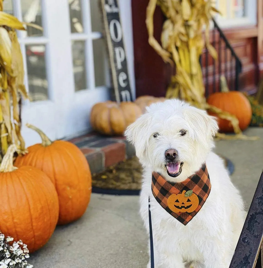 Orange plaid Halloween dog bandana with pumpkin and skeleton felt appliques