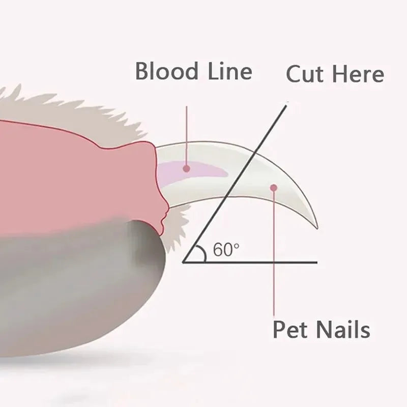 Donuts Lovely pet nail clippers with LED light, stainless steel blade, non-slip handle, blue colour