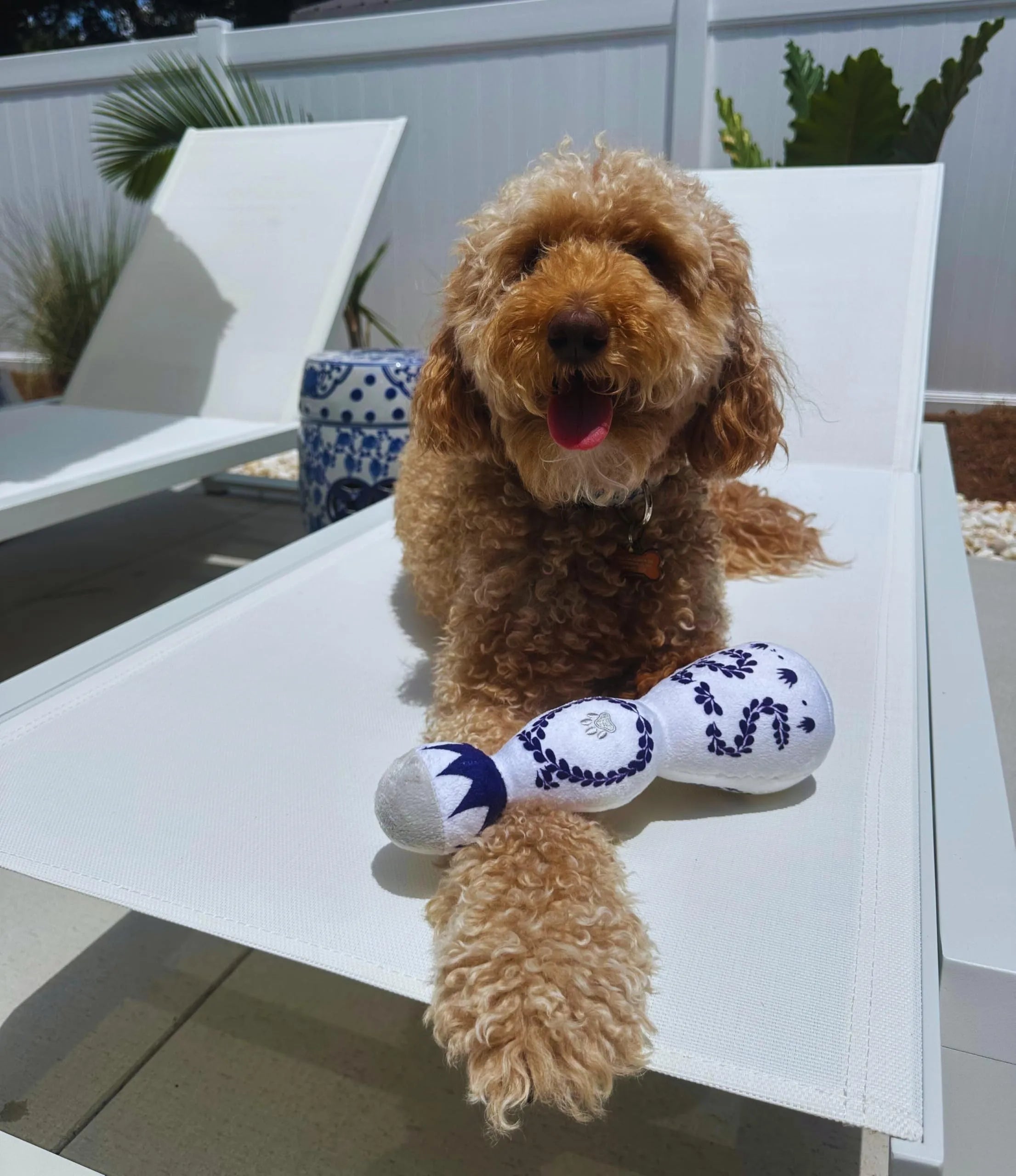 Funny plush dog toy shaped like a tequila bottle with squeaker, 26x9x9 cm, for all dog sizes
