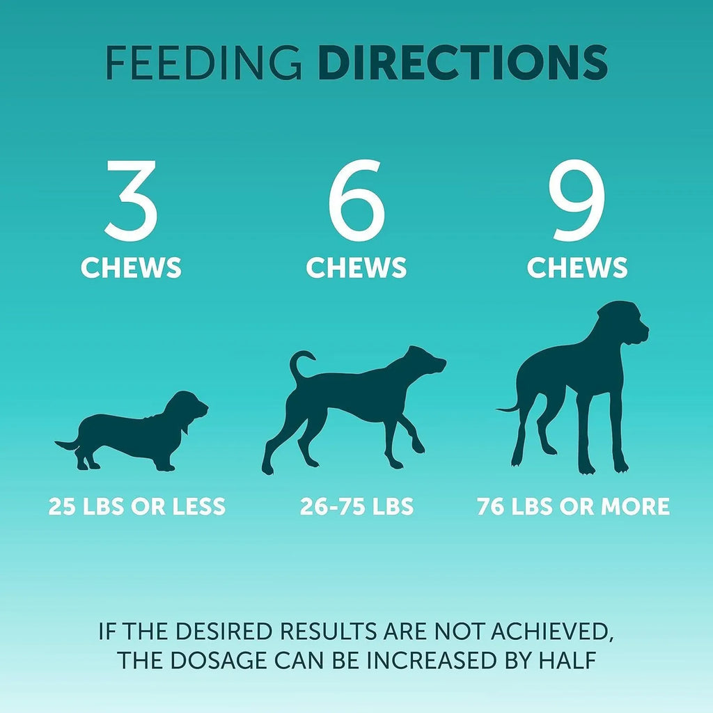 Pet Intestinal Probiotic Chewable Tablets 180 pieces pumpkin flavour for dog digestive support