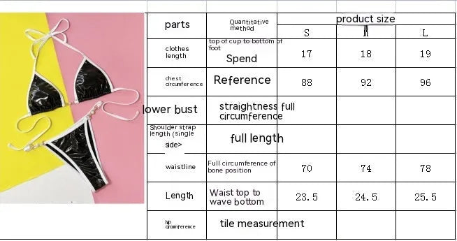 Black women's split bikini swimsuit with bra and briefs for swimming