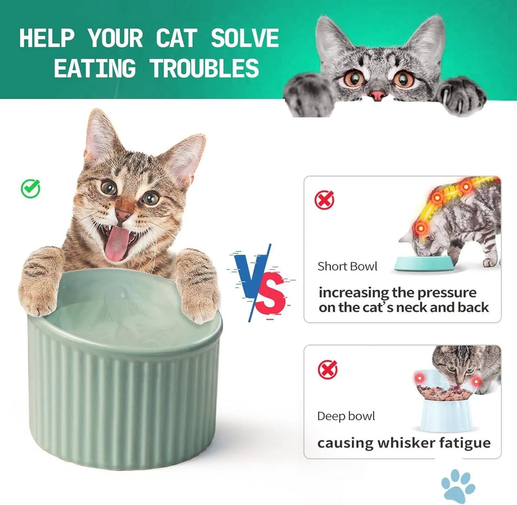 Ceramic elevated cat bowl in green colour with tilted whisker-friendly design for anti-vomit feeding height