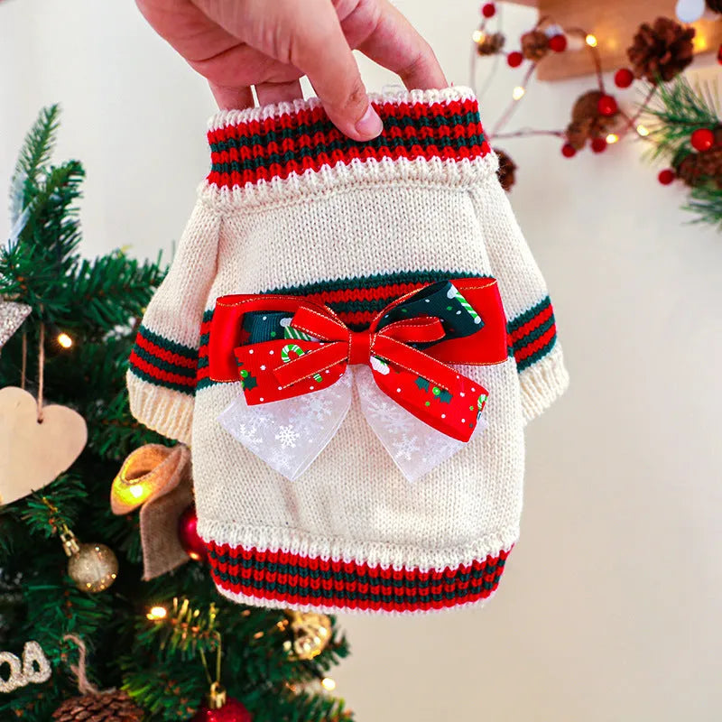 Red Christmas knit dog sweater on a small dog, showing festive pattern and snug fit.