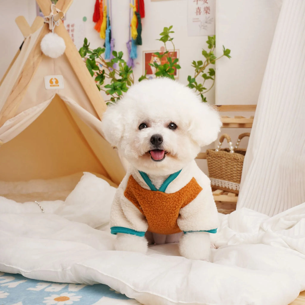 Pet autumn winter berber fleece thickened sweatshirt in caramel colour on a dog