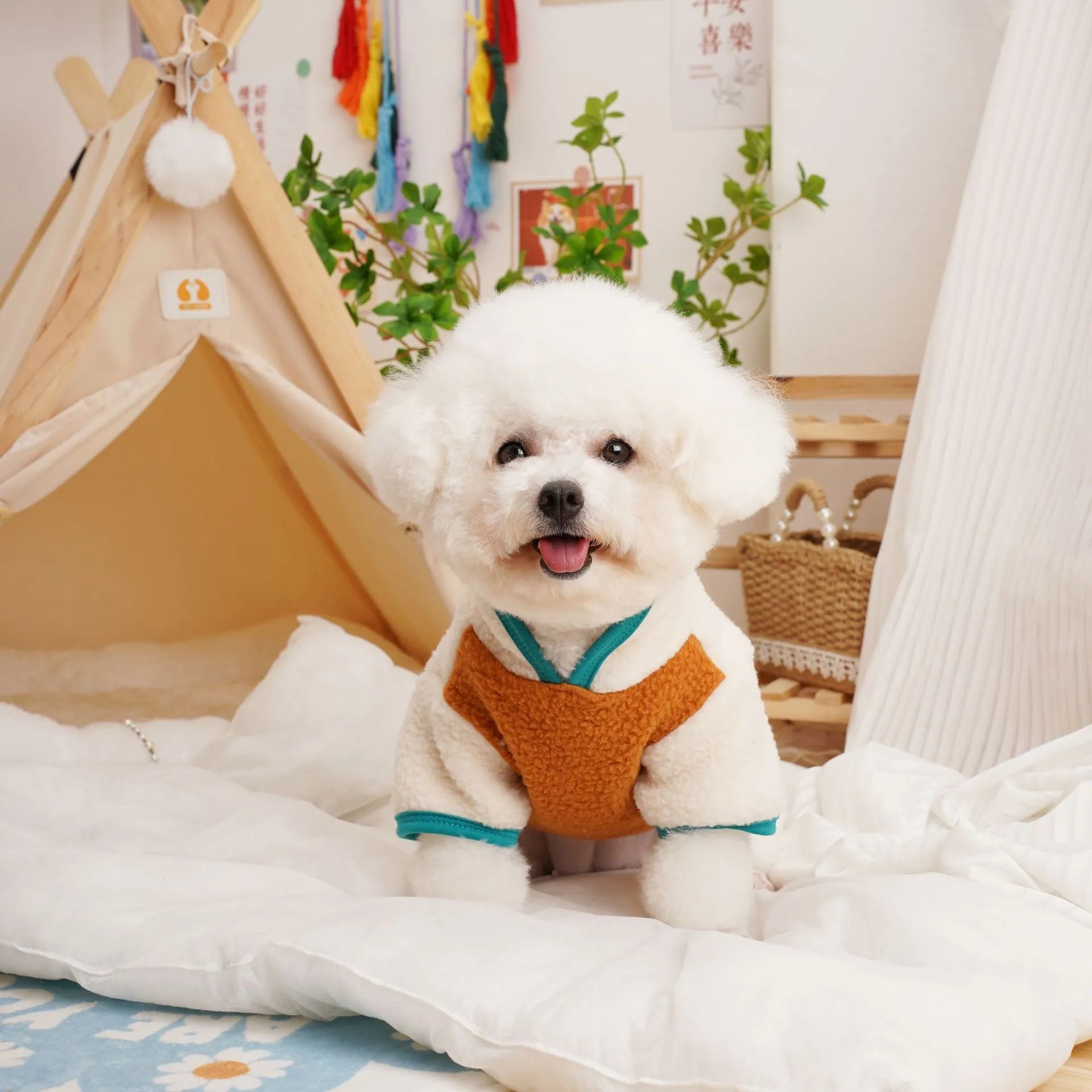 Pet autumn winter berber fleece thickened sweatshirt in caramel colour on a dog
