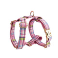 Qicaigei four-piece dog set with cloth collar leash bow and vest