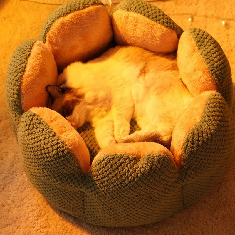 Green cactus petal shaped cat bed cave design with soft plush surface and non-slip bottom on hardwood floor