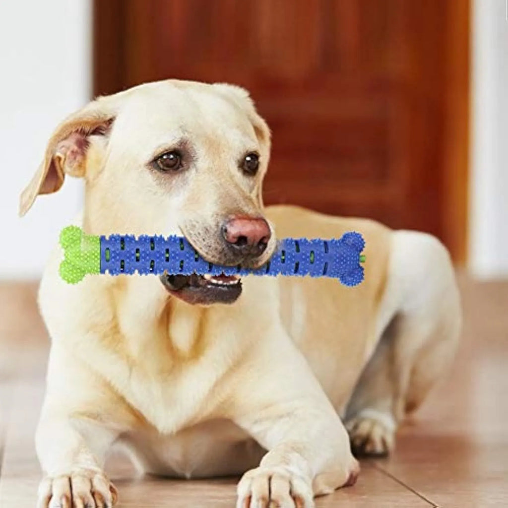Blue-green silicone dog dental cleaning stick with textured surface and inner bristle core