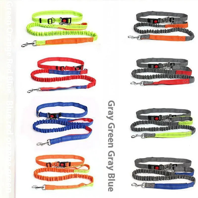 Grey and blue nylon dog leash with reflective stitching and an elastic section for running.