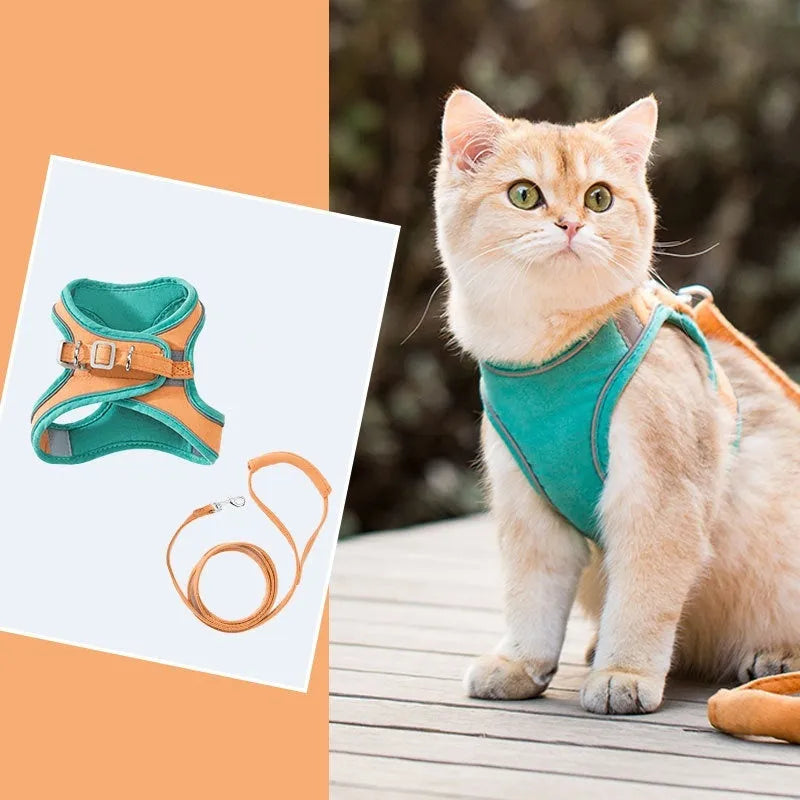 Suede cat pulling rope vest with reflective chest strap and hand rope in blue pink stitching