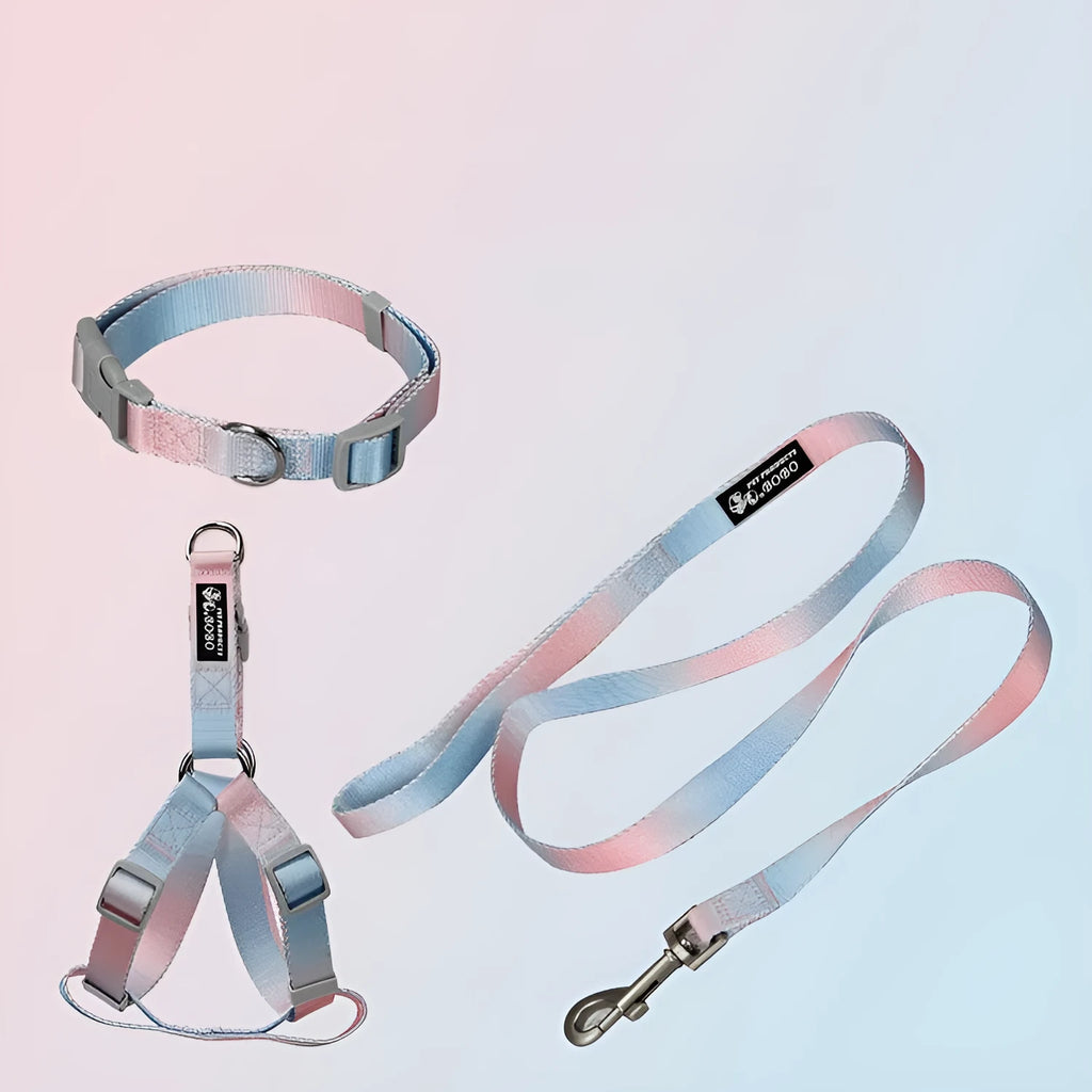 Nylon dog leash and collar set showing gradient colour pattern from pink to blue