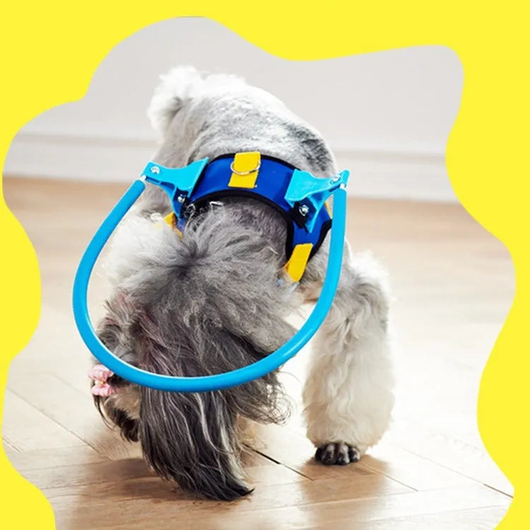Blue Dog Blind second generation adjustable anti-collision pet ring on a white background