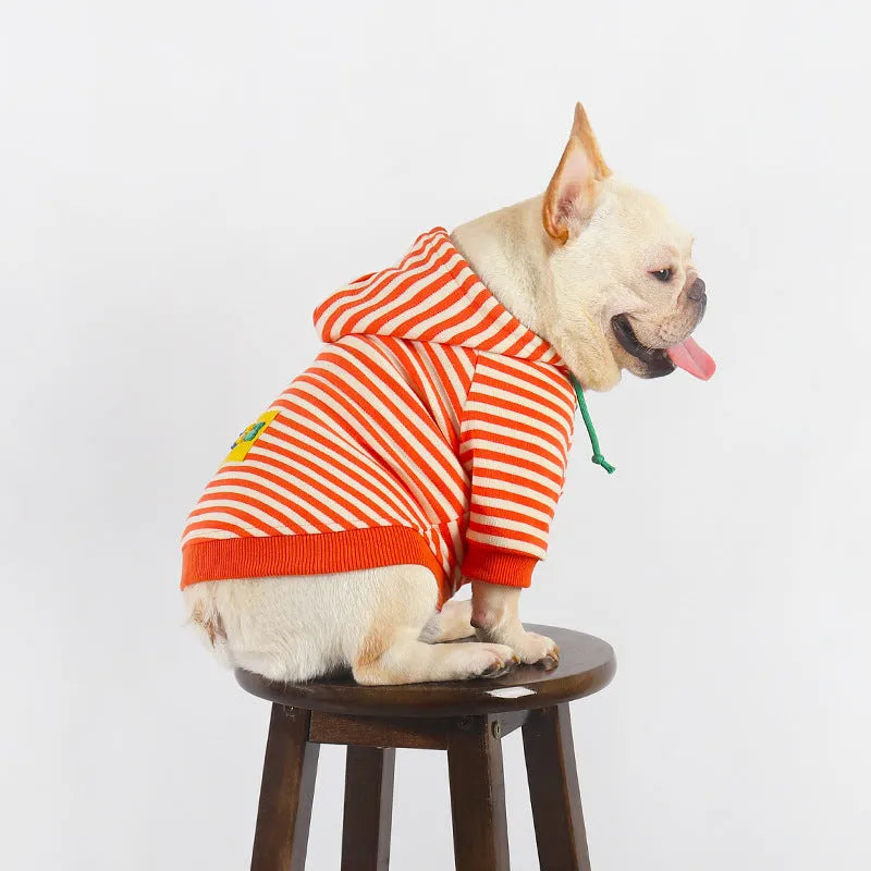 Orange cotton hooded dog sweater for small to extra large dogs Japanese Korean style