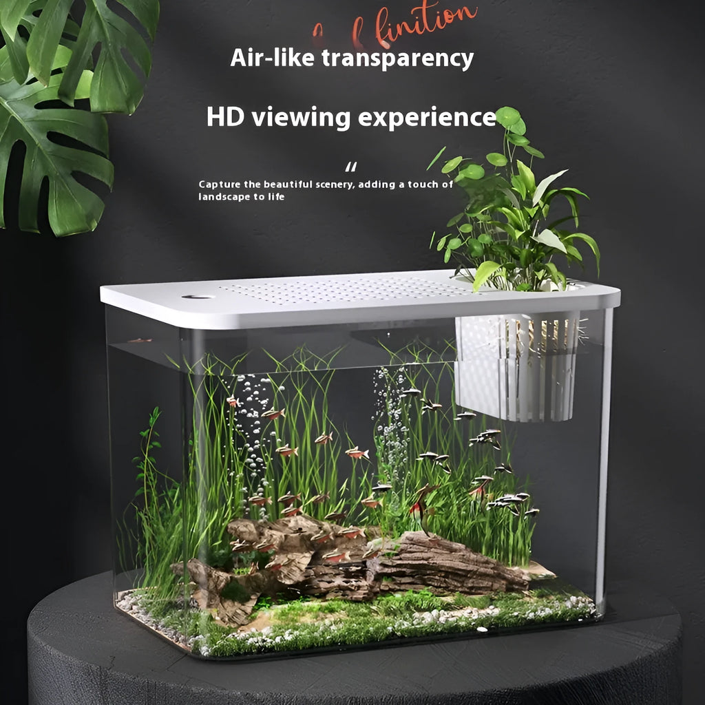Medium ecological betta tank with cover in black or white colour options