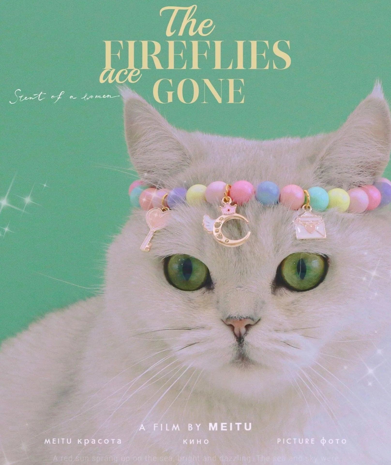 Resin adjustable pet collar with macaron charm in six designs including moon, meteor, rabbit, crystal ball, crown and girl