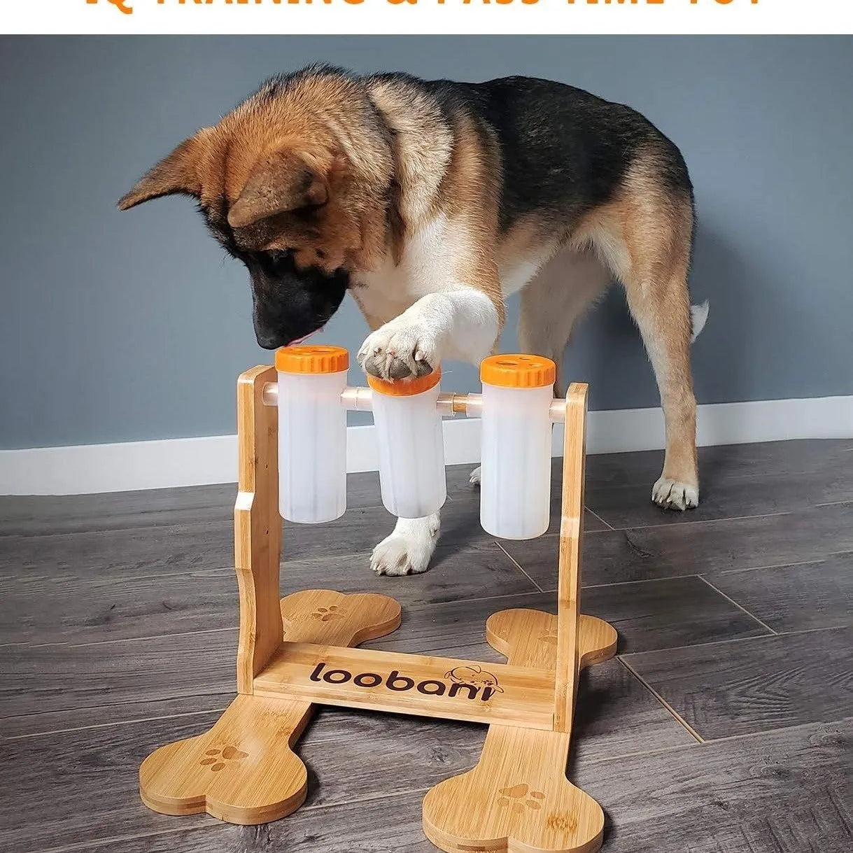 Wooden dog puzzle toy measuring 31x30x20cm with interactive snack dispenser design