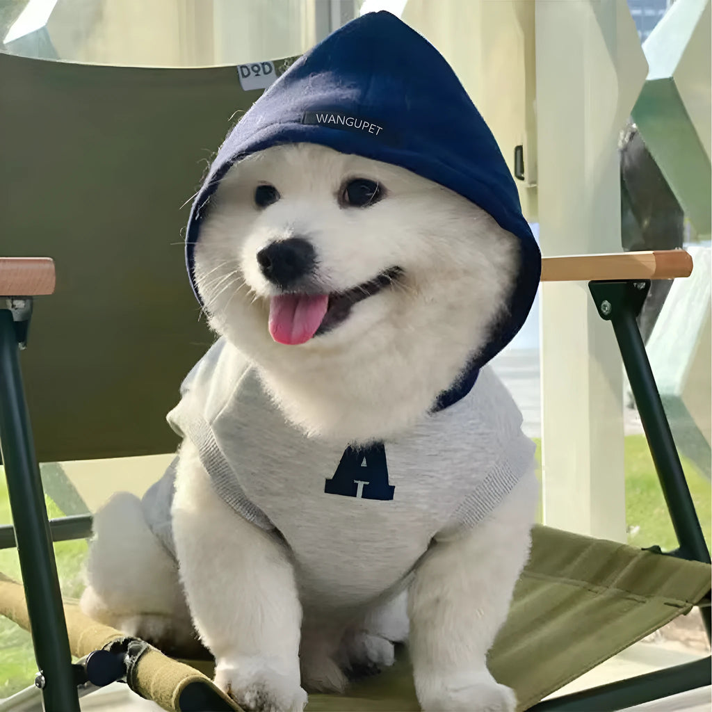 Blue and grey-white slim-fit pet hoodie with reflective letters for dogs and cats