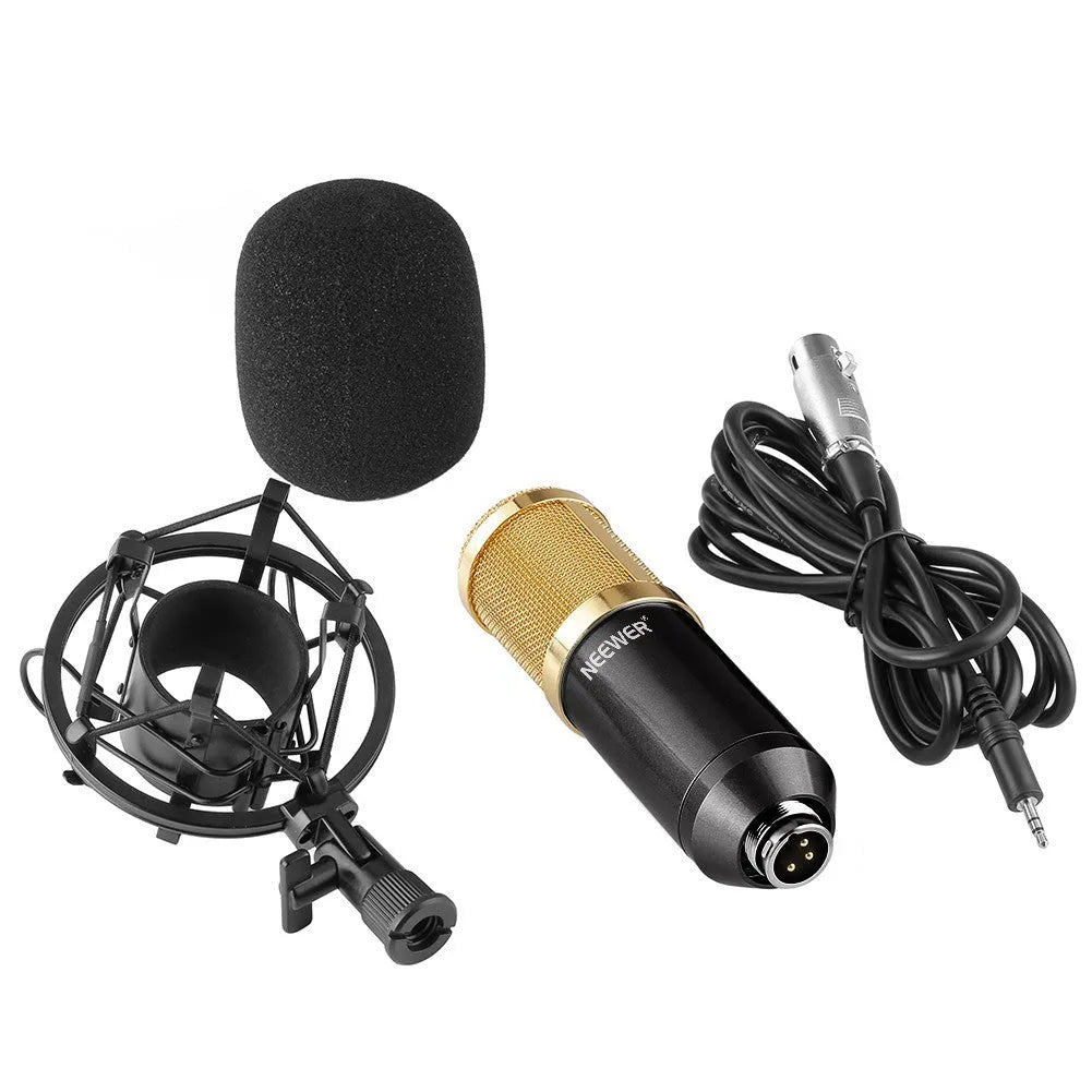 NW-800 black metal condenser microphone with shock mount and foam cap on stand