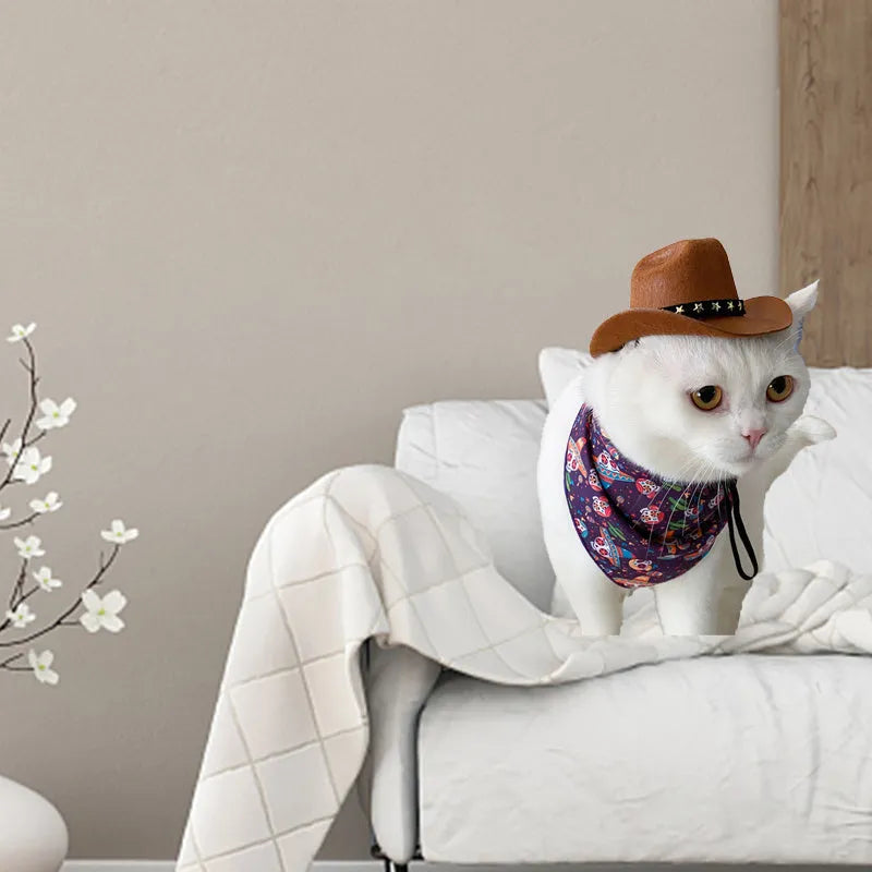 Cat wearing a black cowboy hat with star design, made from soft non-woven fabric, adjustable strap, side view