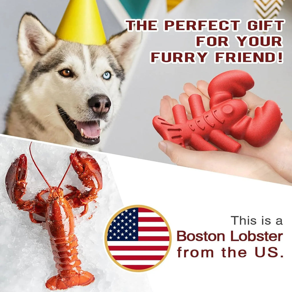 Red hard plastic dog chew toy for large breed aggressive chewers, 170mm long