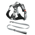 Adjustable dog harness with chest strap and detachable hand holding rope in multiple colours
