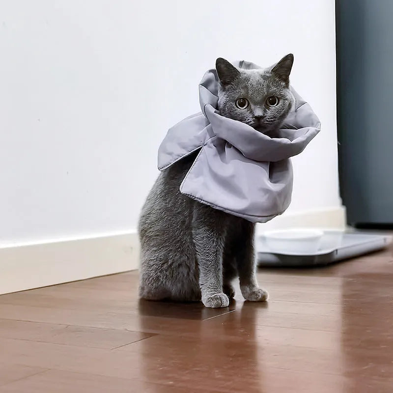 Adjustable soft polyester cat recovery collar in light blue for small to medium cats and dogs