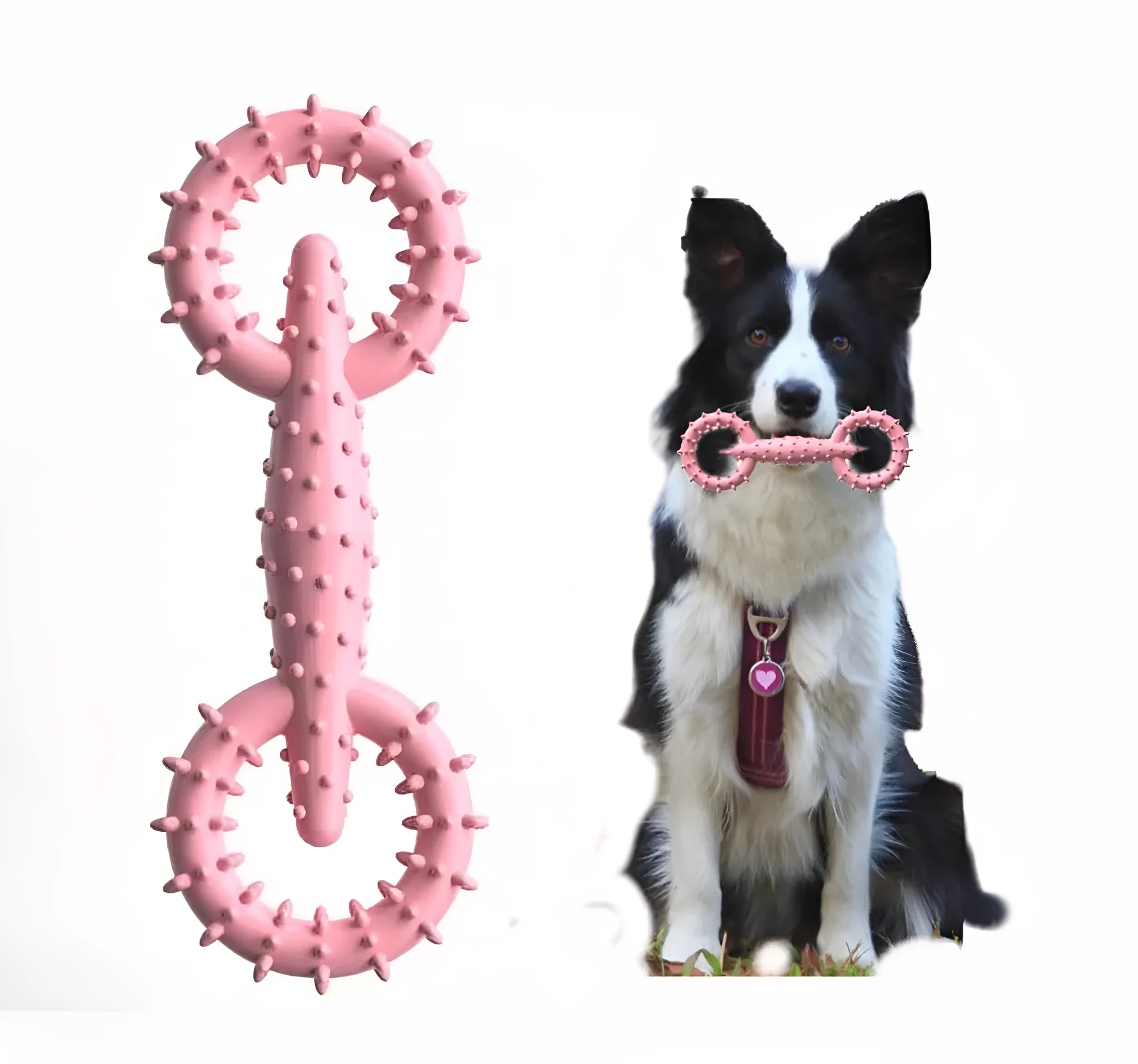 Blue TPR rubber dog chew ring toy for puppy teething, 16 cm diameter.