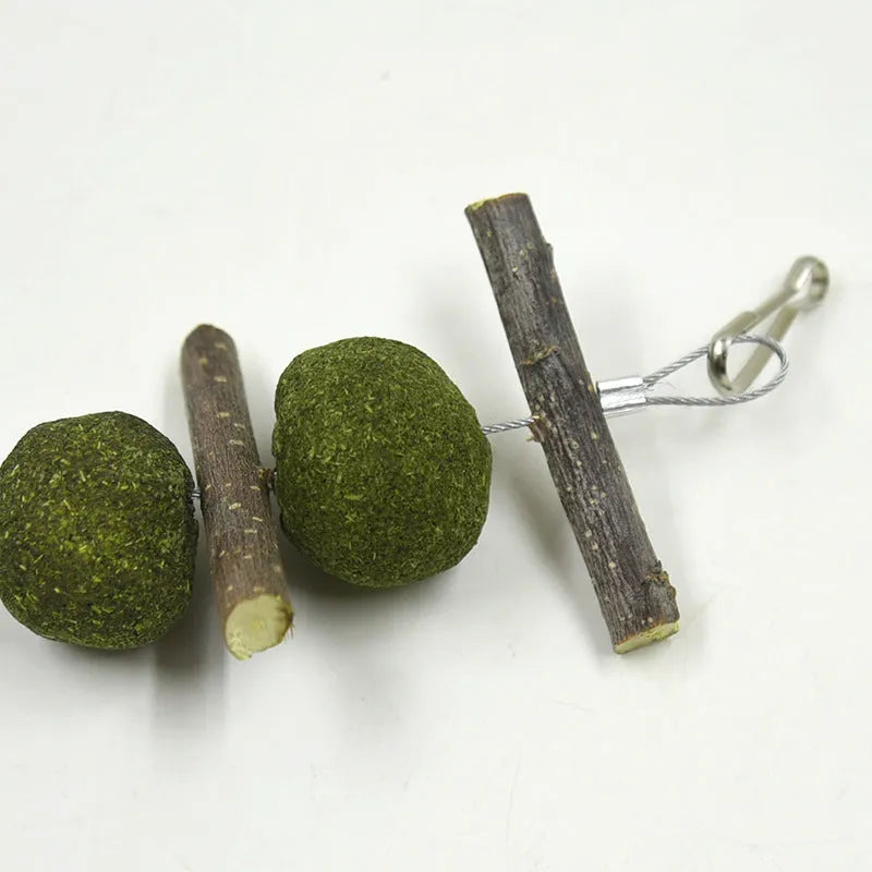 Natural pet molar supplies set with five grass balls and six apple branches hanging on a cage for small animals like rabbits and guinea pigs