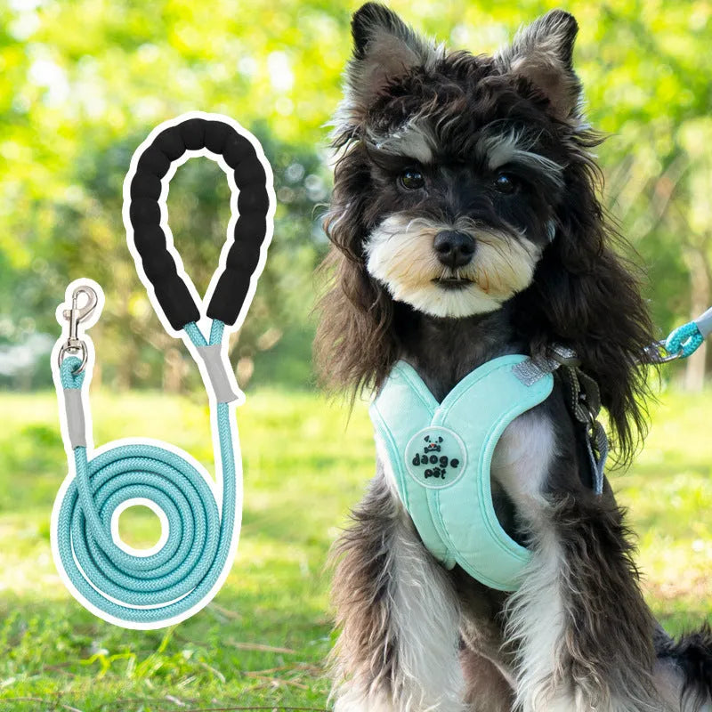 Polyester dog walking vest and hand-holding rope set shown in blue, green, pink, or yellow.