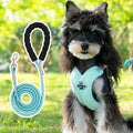 Polyester dog walking vest and hand-holding rope set shown in blue, green, pink, or yellow.