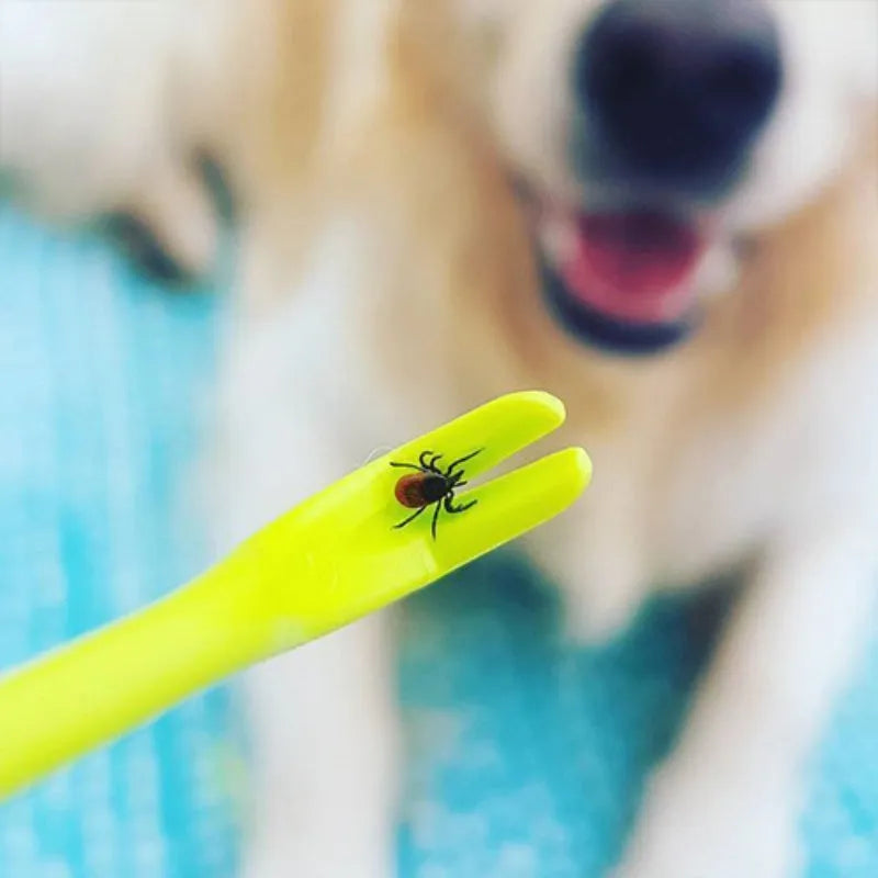 Three plastic tick removal hook tools for pets in blue or green colours