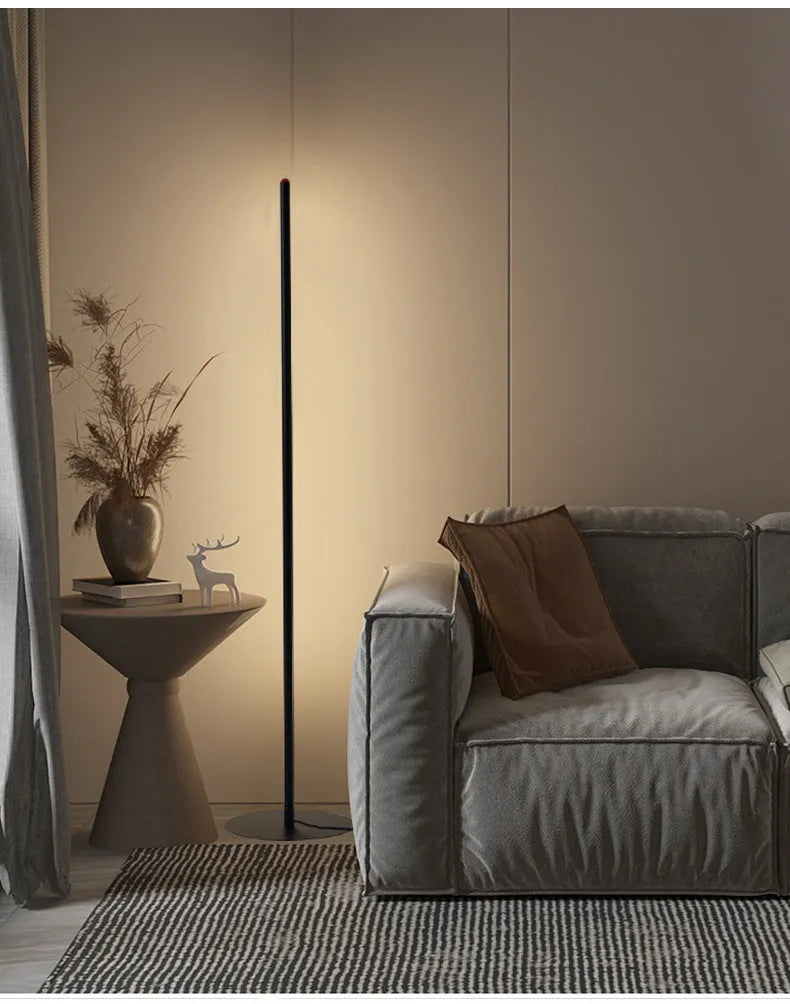 Modern simple vertical aluminum alloy floor lamp with USB plug in three height options